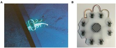 Event-Based Computation for Touch Localization Based on Precise Spike Timing